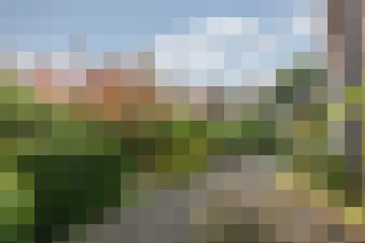 Constantia Loudonlaan 2 Rozendaal thumbnail 5