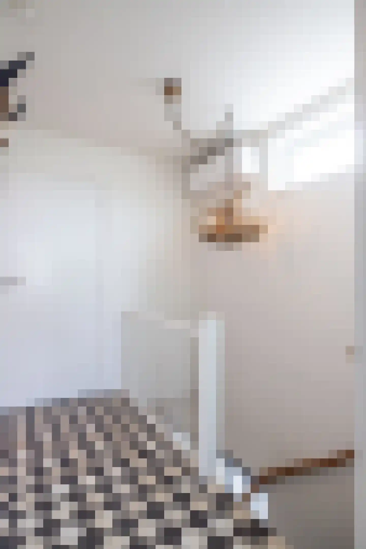 Constantijn Hugostraat 13 Spaubeek thumbnail 17