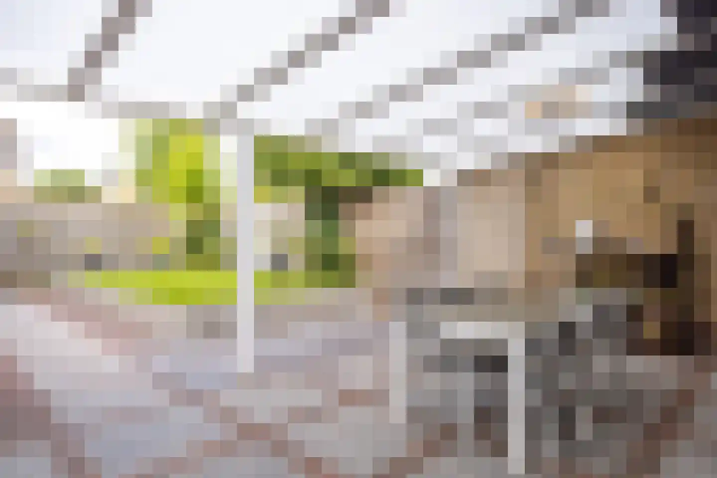 Constantijn Hugostraat 13 Spaubeek thumbnail 30