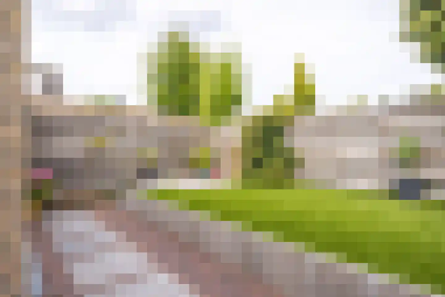 Constantijn Hugostraat 13 Spaubeek thumbnail 35