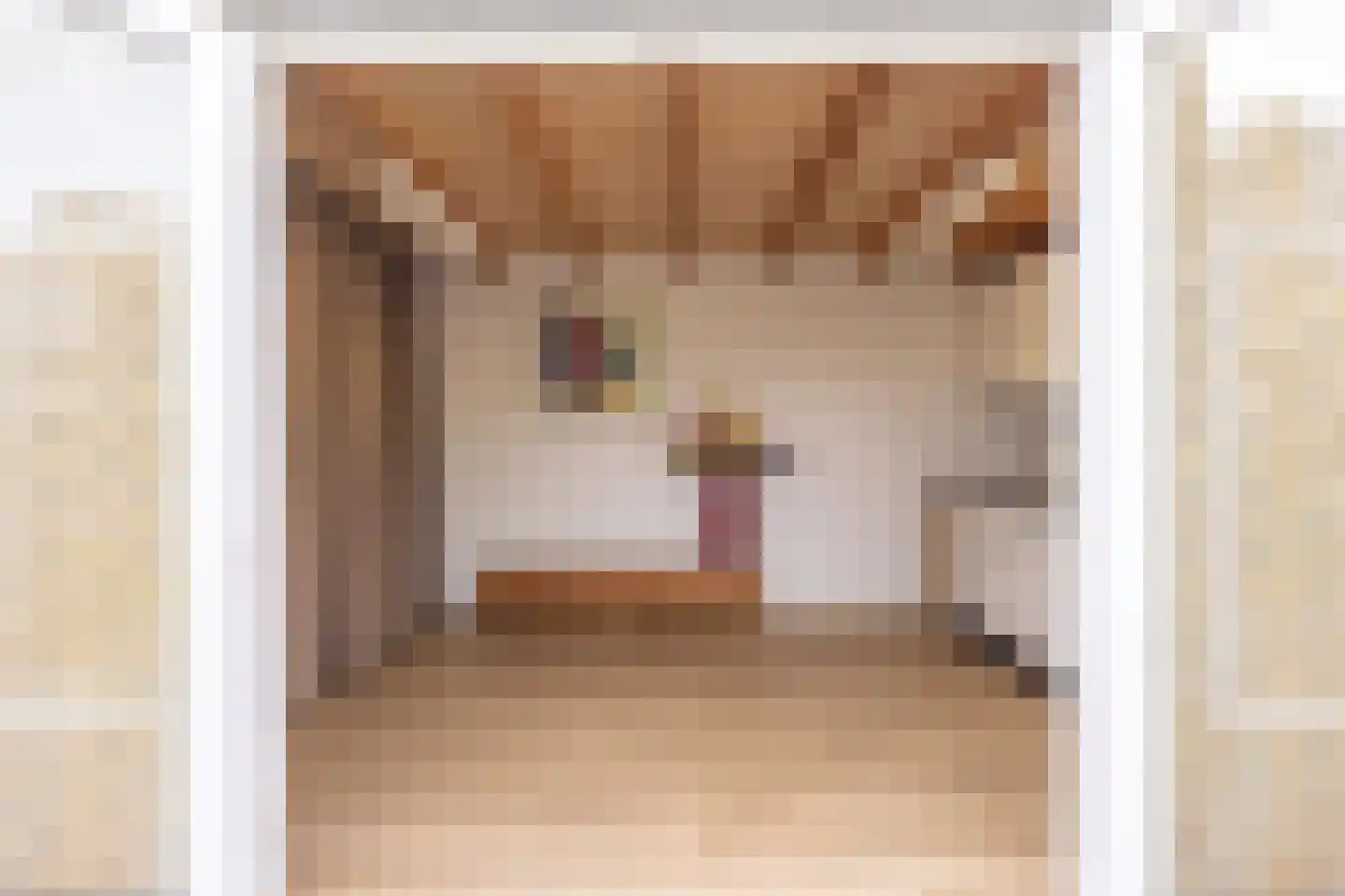 Constantijn Hugostraat 13 Spaubeek thumbnail 36