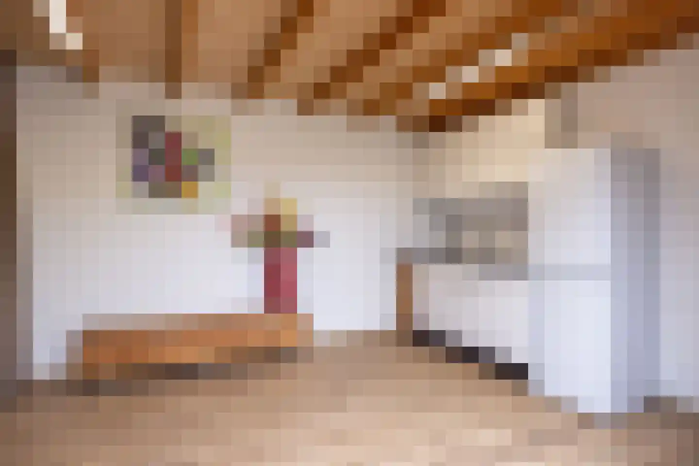 Constantijn Hugostraat 13 Spaubeek thumbnail 37