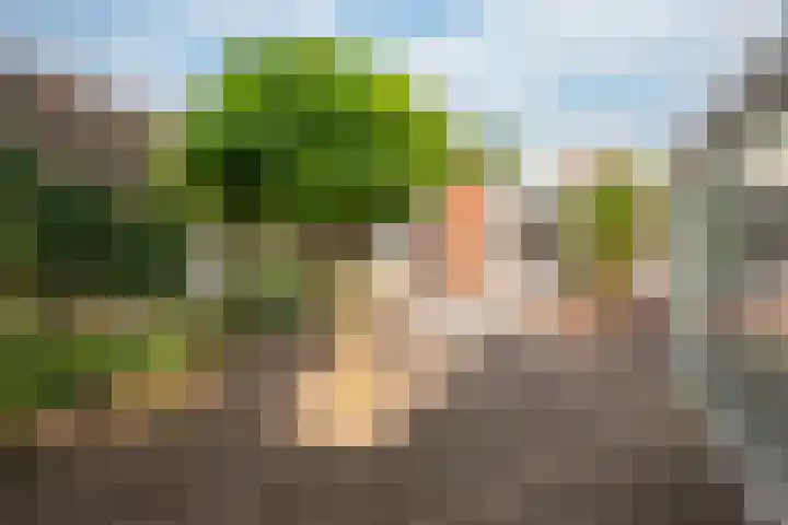 Constantijn Hugostraat 7 Spaubeek thumbnail 18