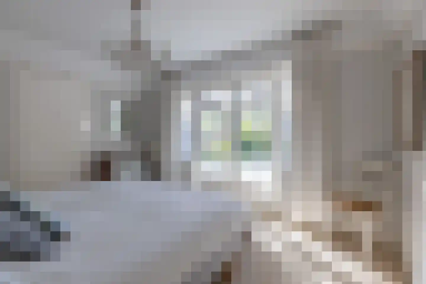 Constantijn Huijgenslaan 13 Bussum thumbnail 22