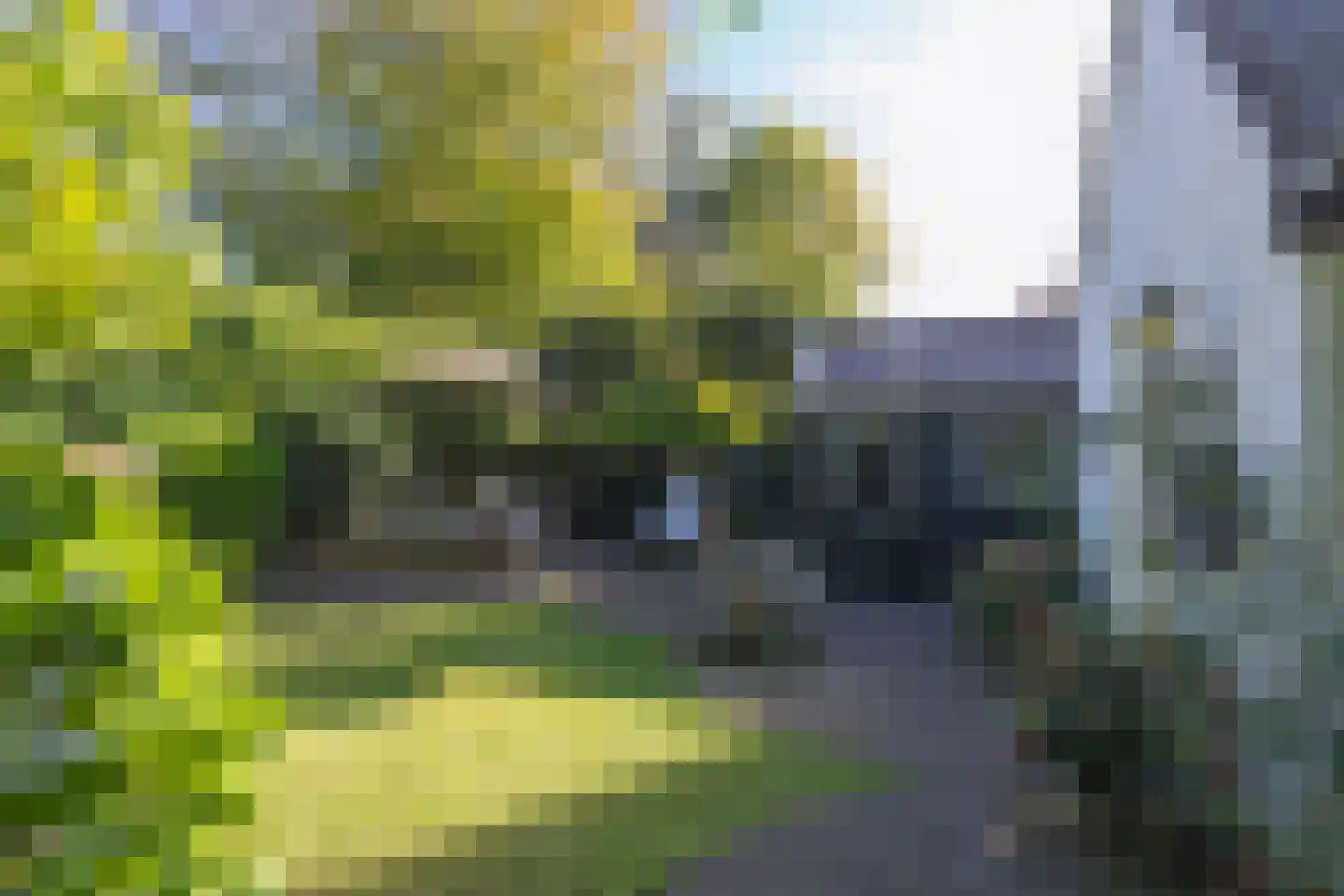 Constantijn Huijgenslaan 13 Bussum thumbnail 36
