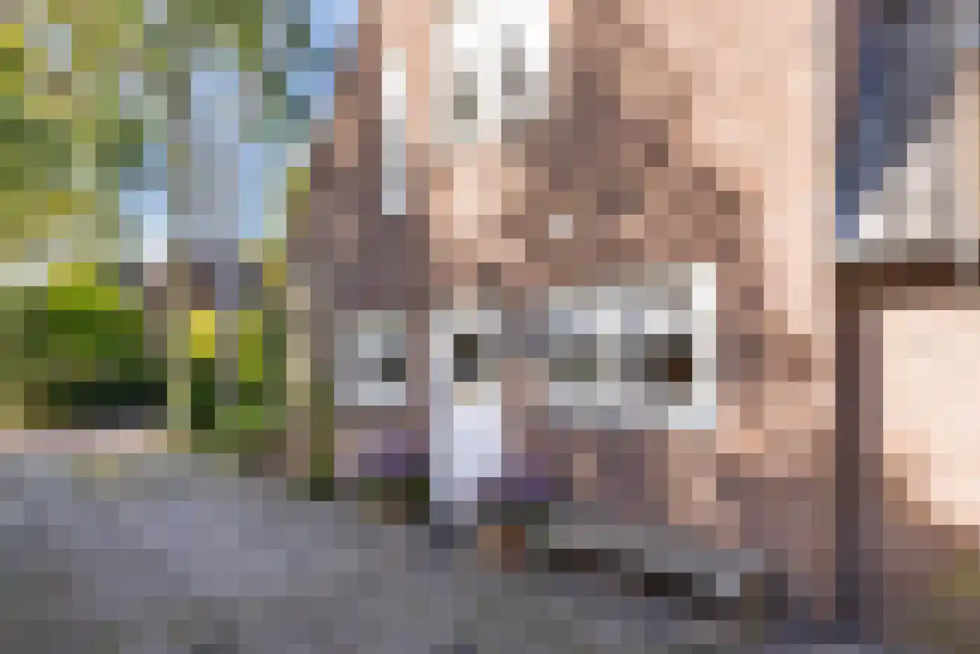 Constantijn Huijgenslaan 13 Bussum thumbnail 5