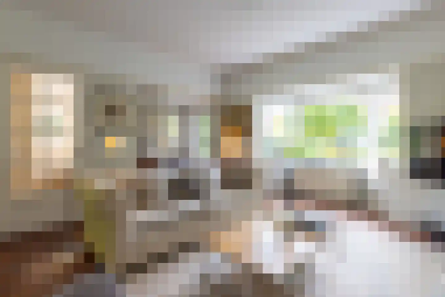 Constantijn Huijgenslaan 13 Bussum thumbnail 7