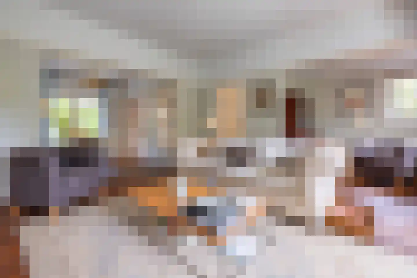 Constantijn Huijgenslaan 13 Bussum thumbnail 9