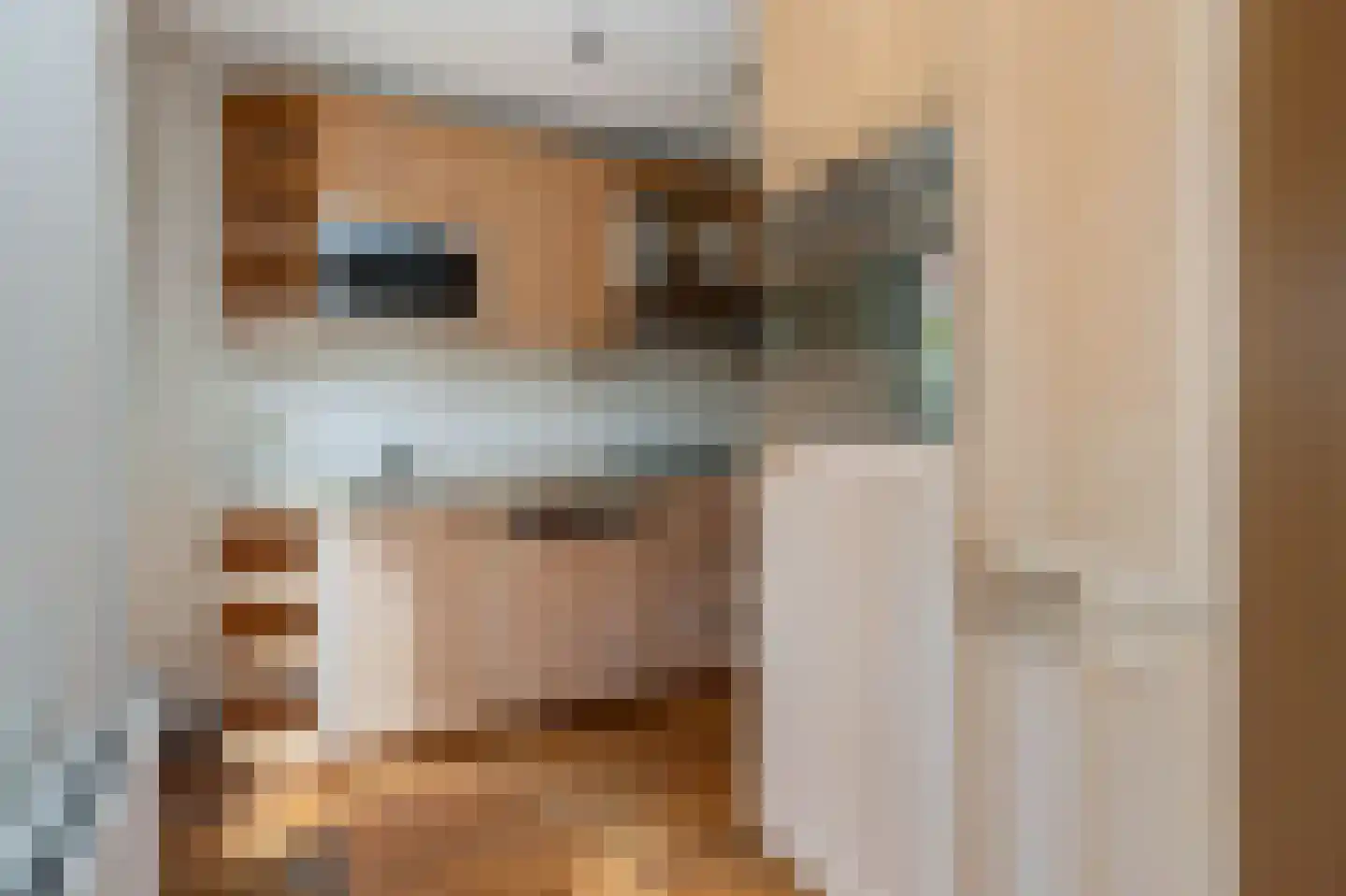 Constantijn Huijgenslaan 26 Bussum thumbnail 12