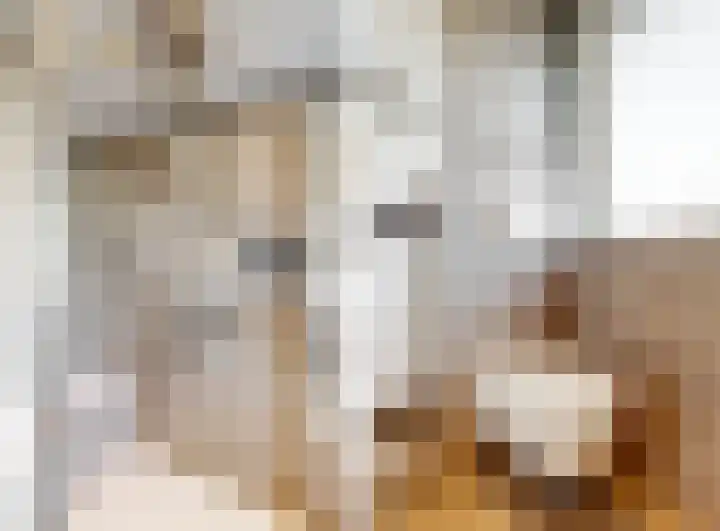 Constantijn Huygenslaan 11 Uithoorn thumbnail 17