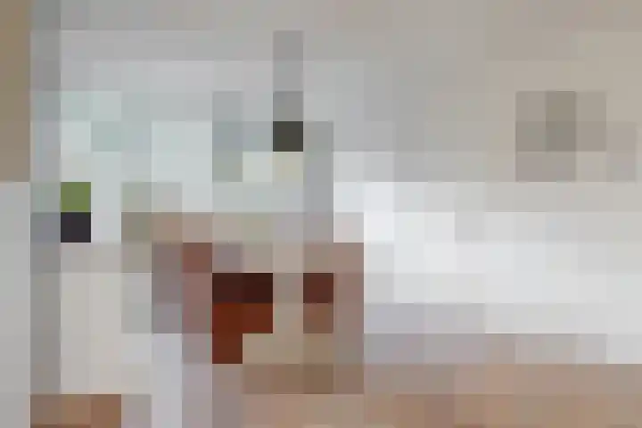 Constantijn Huygenslaan 11 Uithoorn thumbnail 4