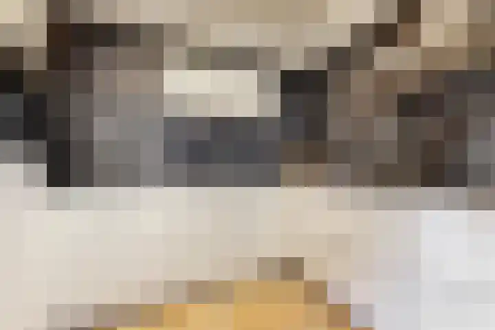 Constantijn Huygenslaan 11 Uithoorn thumbnail 7