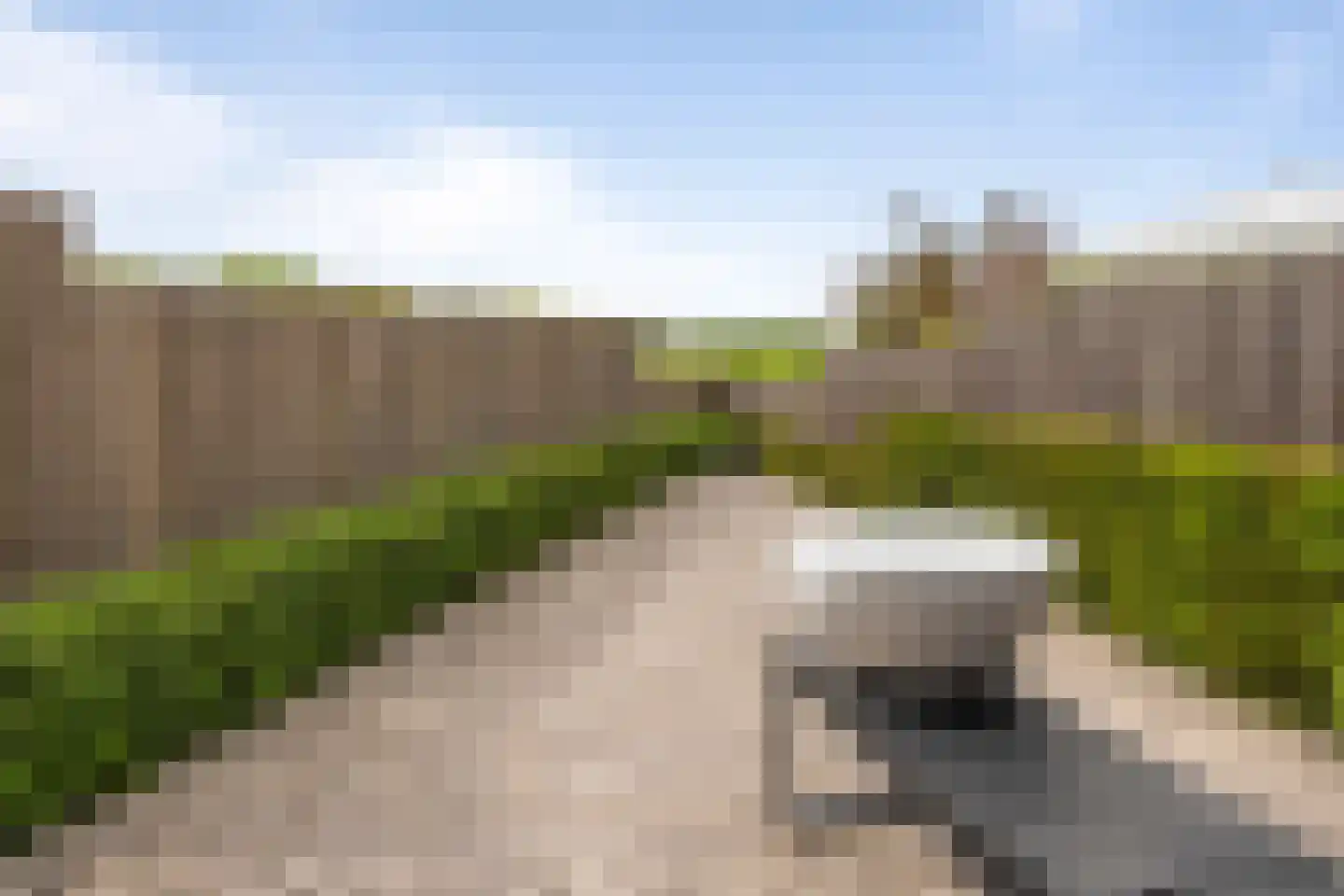 Constantijn Huygenslaan 16 Heemstede thumbnail 11