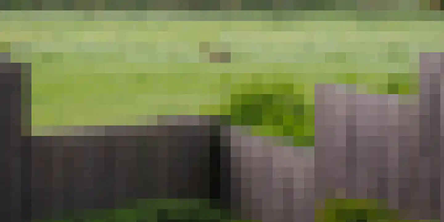 Constantijn Huygenslaan 16 Heemstede thumbnail 12
