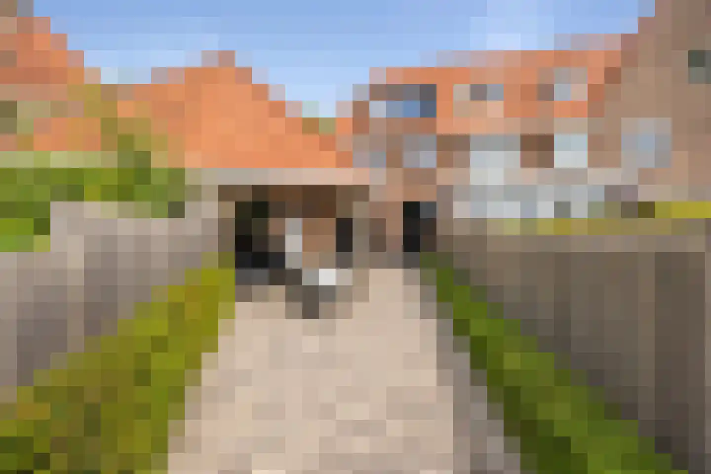 Constantijn Huygenslaan 16 Heemstede thumbnail 13