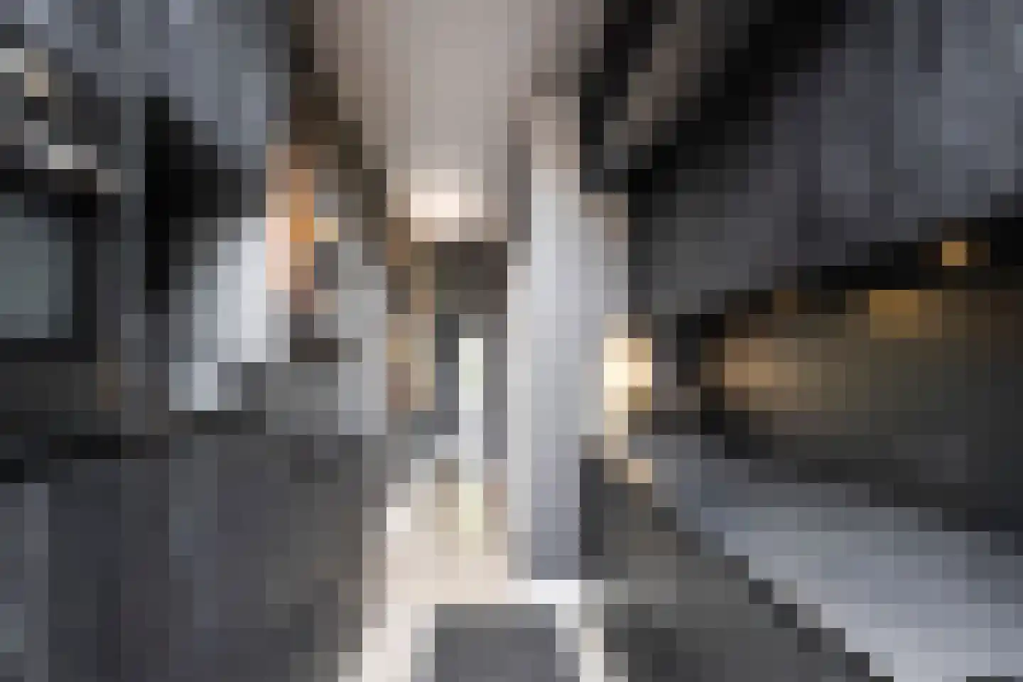 Constantijn Huygenslaan 16 Heemstede thumbnail 16