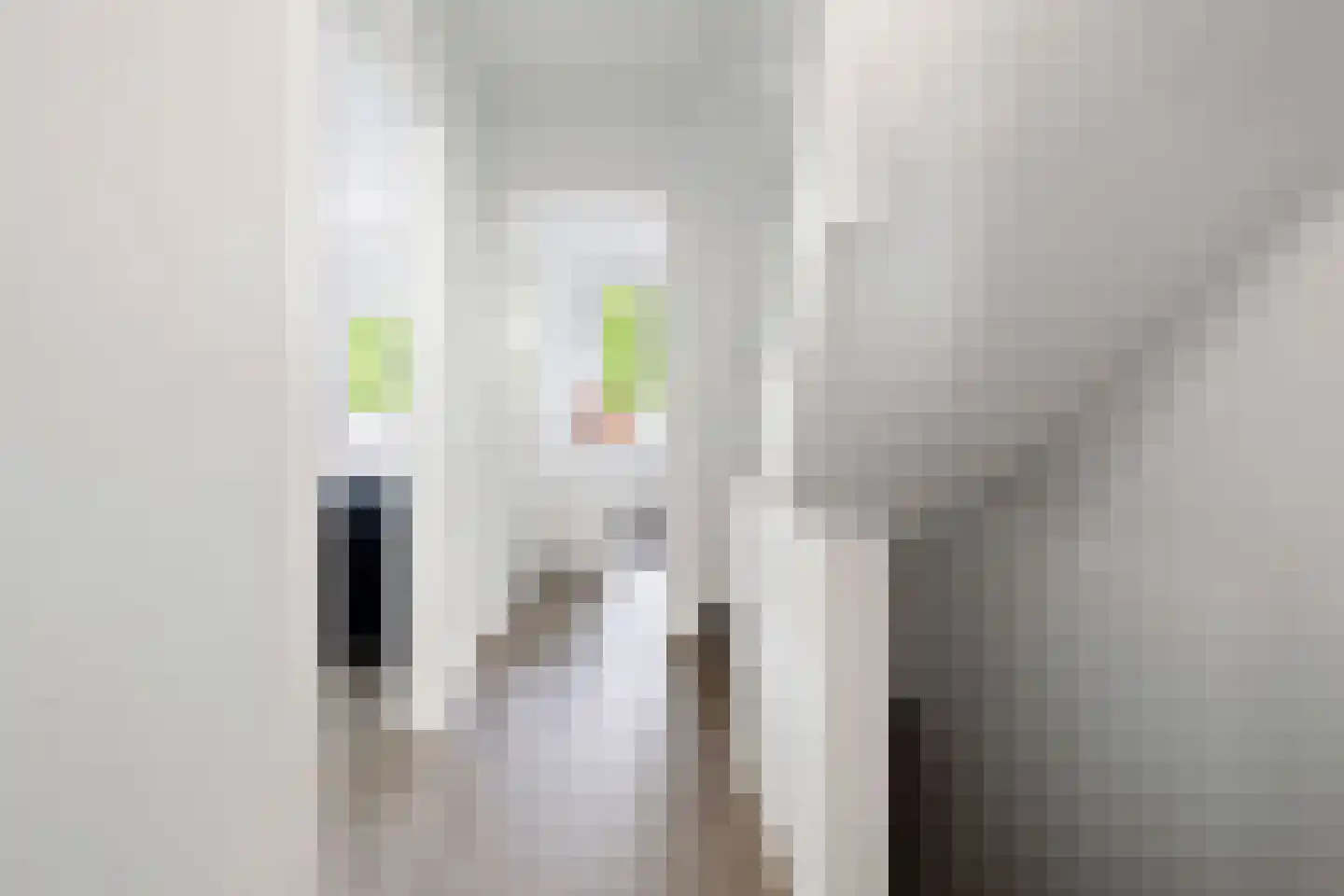 Constantijn Huygenslaan 16 Heemstede thumbnail 18