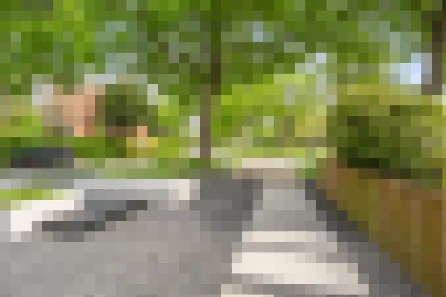 Constantijn Huygenslaan 16 Heemstede thumbnail 39