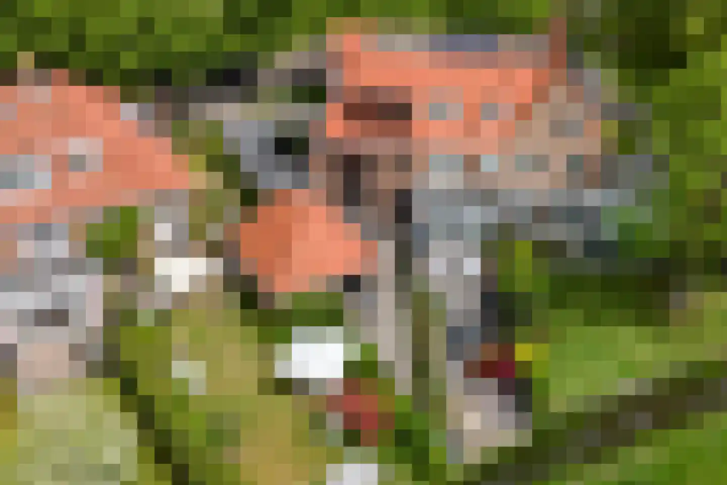Constantijn Huygenslaan 16 Heemstede thumbnail 40