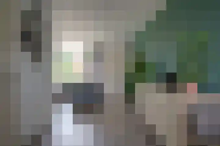 Constantijn Huygenslaan 17 Winschoten thumbnail 12