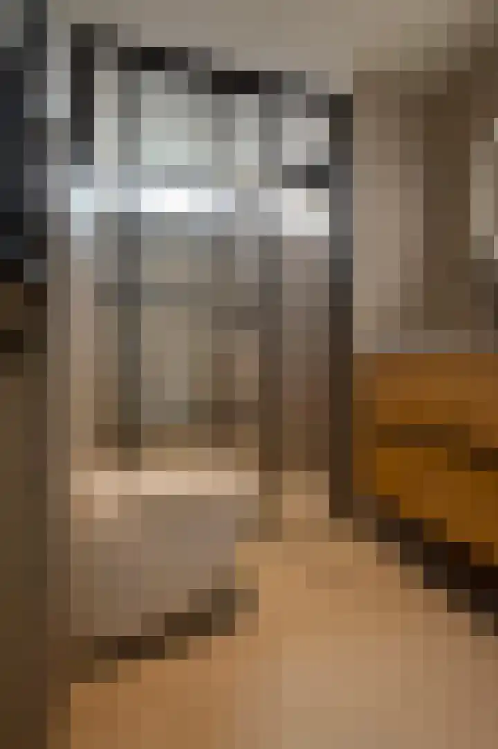 Constantijn Huygenslaan 17 Winschoten thumbnail 20