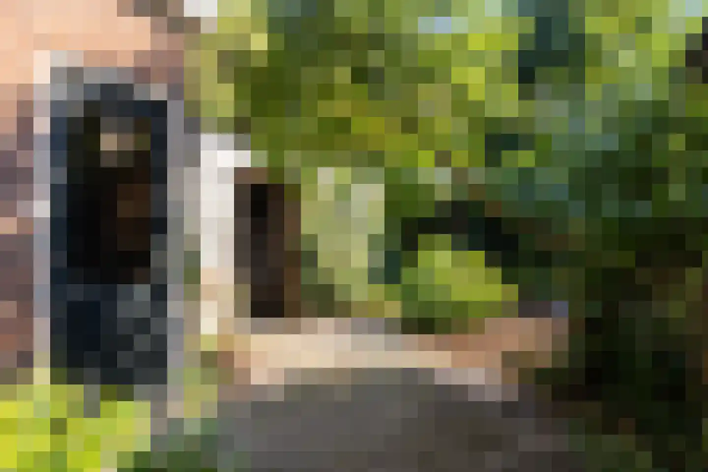 Constantijn Huygenslaan 2 Zeist thumbnail 10