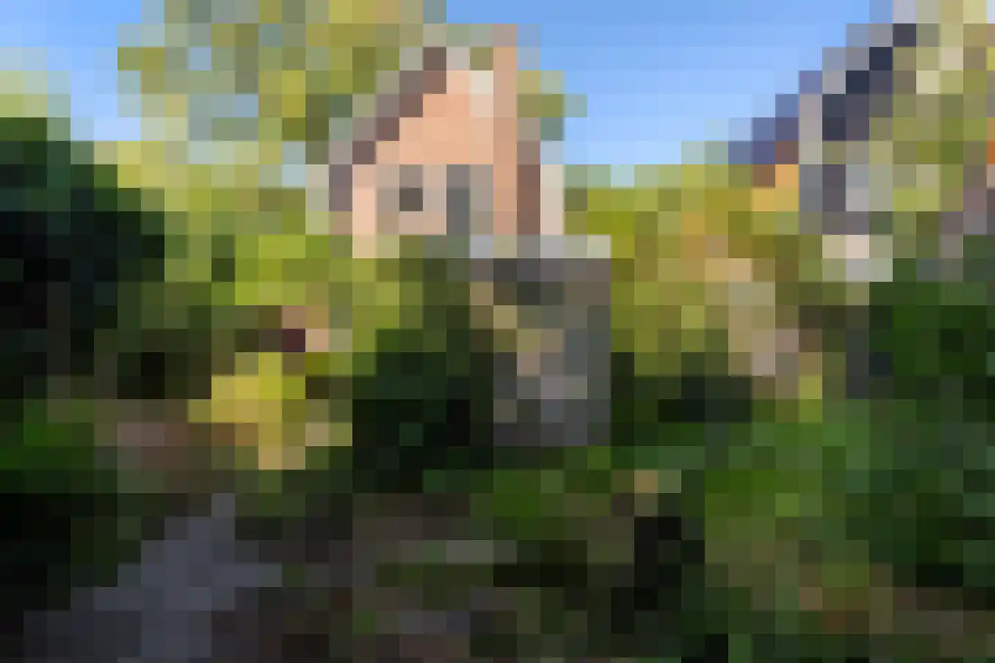 Constantijn Huygenslaan 2 Zeist thumbnail 13