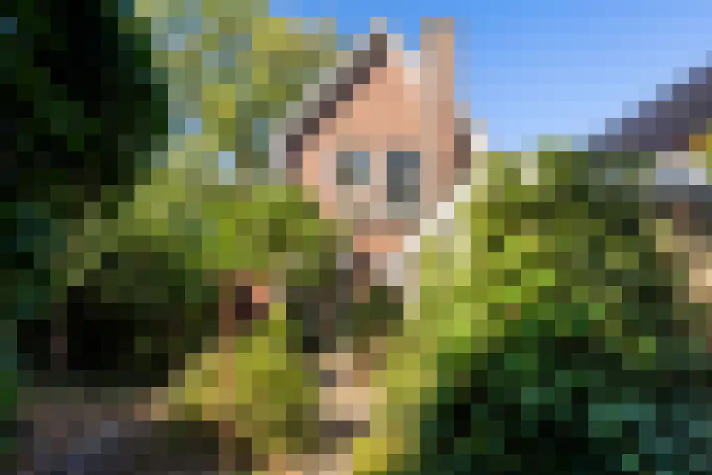 Constantijn Huygenslaan 2 Zeist thumbnail 14