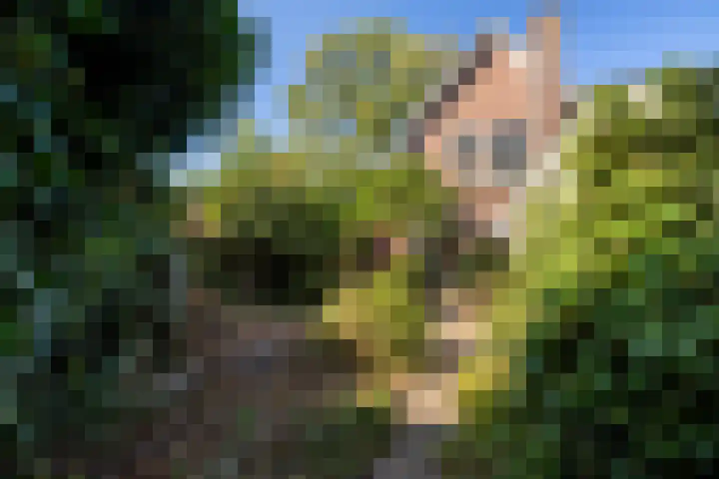 Constantijn Huygenslaan 2 Zeist thumbnail 15
