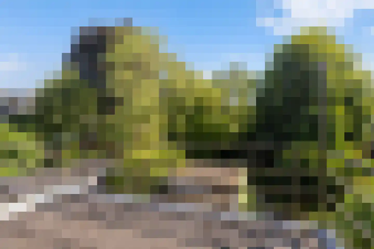 Constantijn Huygenslaan 2 Zeist thumbnail 22