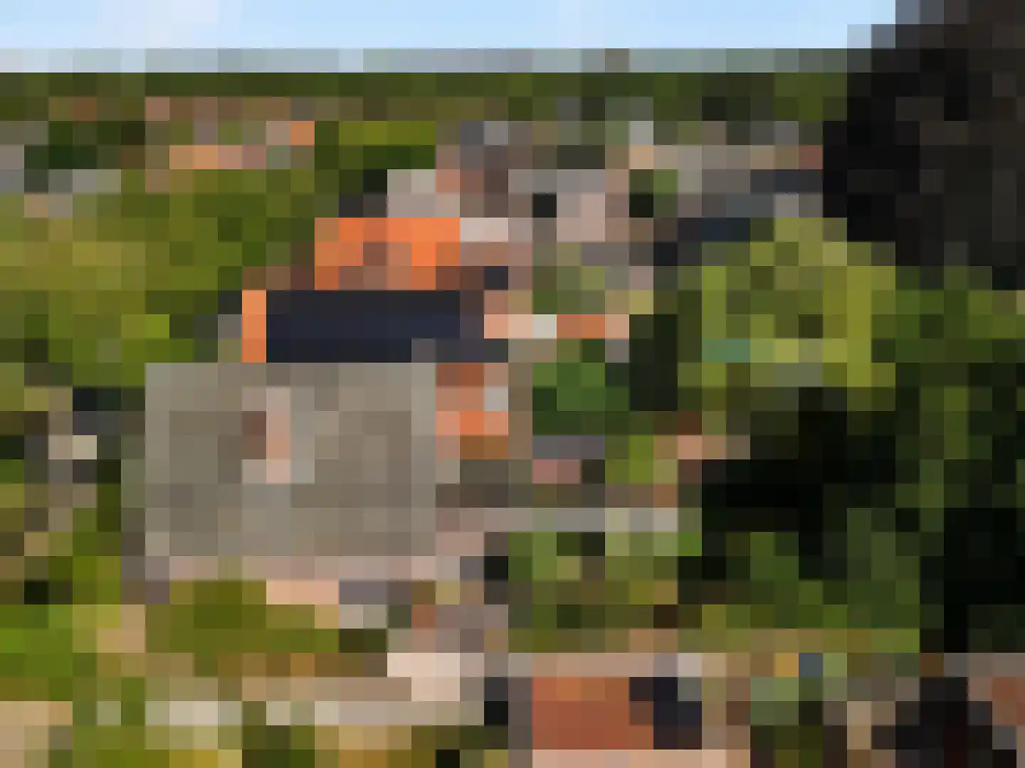 Constantijn Huygenslaan 2 Zeist thumbnail 28