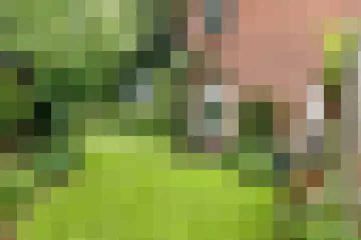 Constantijn Huygenslaan 20 Zeist thumbnail 28
