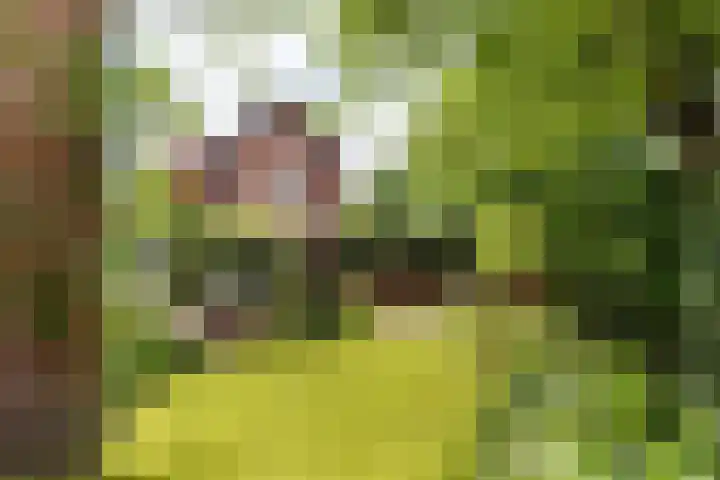 Constantijn Huygenslaan 20 Zeist thumbnail 29