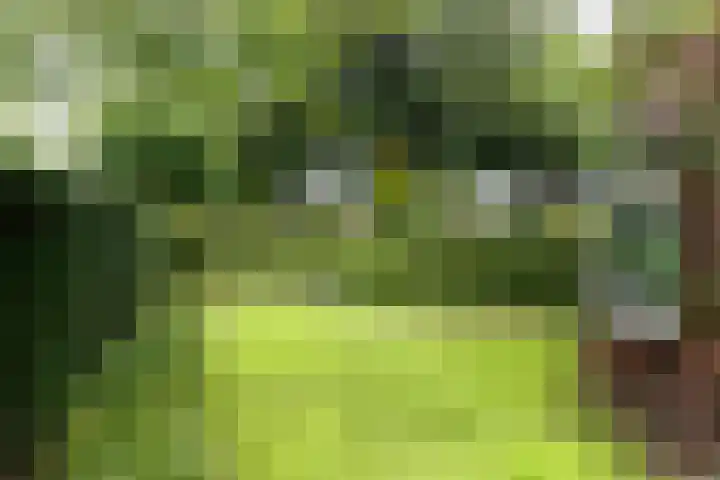Constantijn Huygenslaan 20 Zeist thumbnail 31