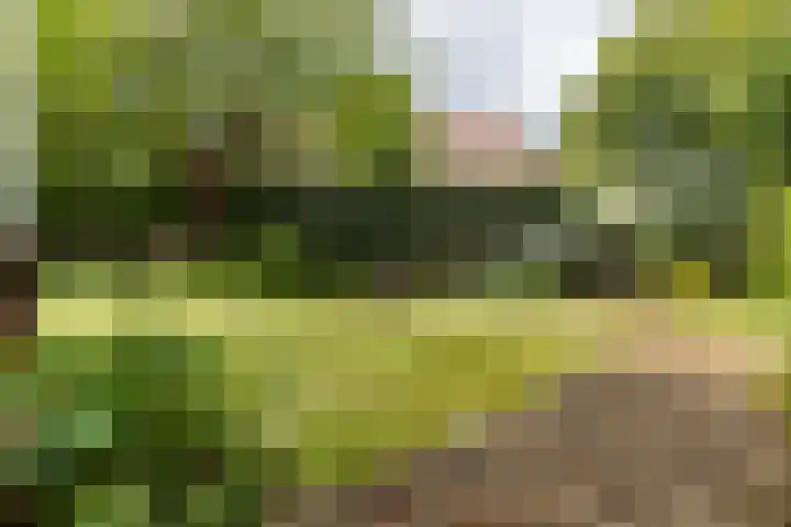 Constantijn Huygenslaan 20 Zeist thumbnail 32