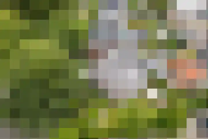 Constantijn Huygenslaan 20 Zeist thumbnail 34