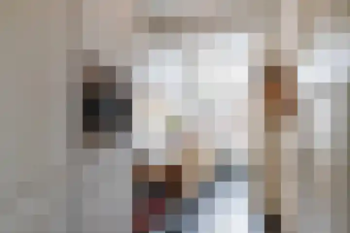 Constantijn Huygenslaan 20 Zeist thumbnail 5