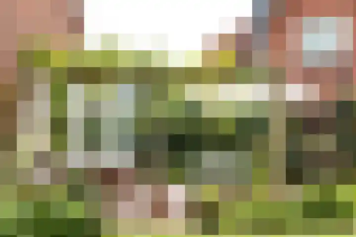 Constantijn Huygenslaan 20 Zeist thumbnail 7