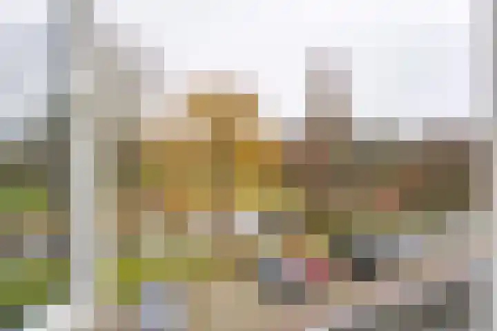 Constantijn Huygenslaan 25 Leiden thumbnail 23