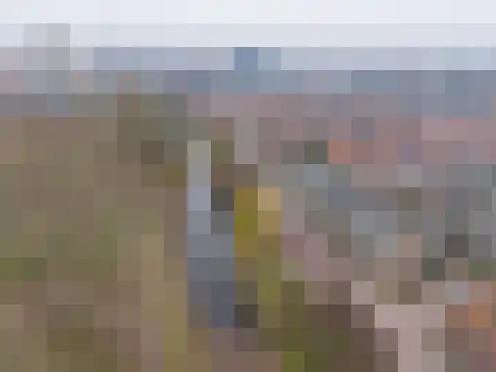 Constantijn Huygenslaan 25 Leiden thumbnail 31