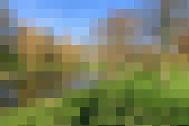 Constantijn Huygenslaan 25 Leiden thumbnail 32