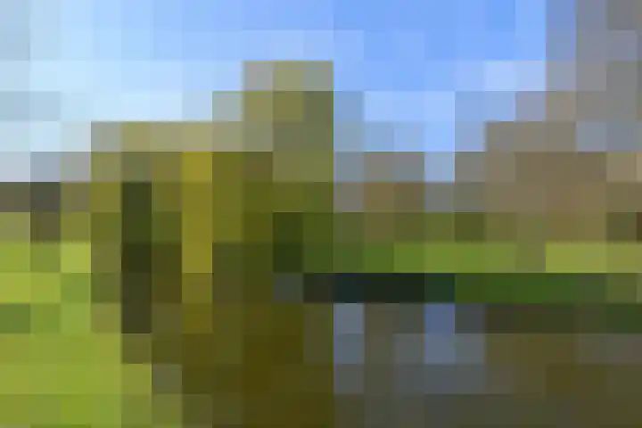 Constantijn Huygenslaan 25 Leiden thumbnail 34