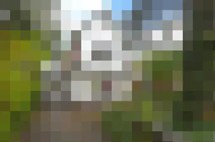 Constantijn Huygenslaan 27 Zeist thumbnail 12