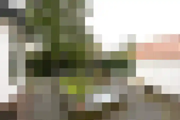 Constantijn Huygenslaan 27 Zeist thumbnail 14