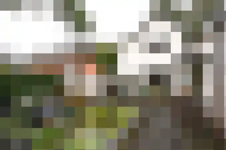 Constantijn Huygenslaan 27 Zeist thumbnail 15