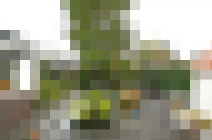 Constantijn Huygenslaan 27 Zeist thumbnail 17