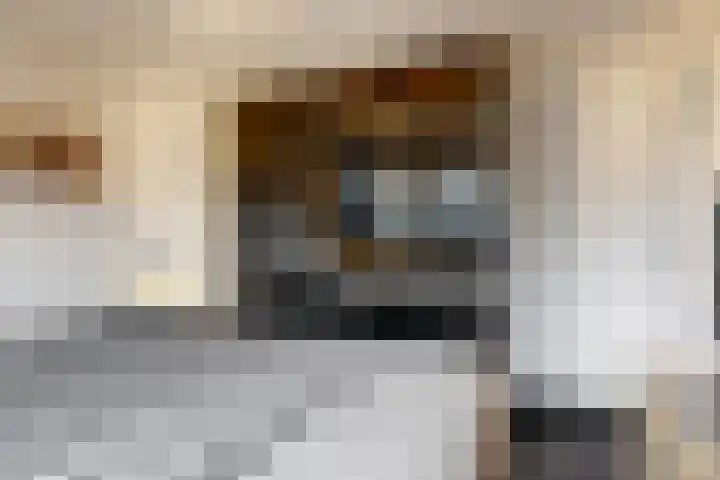 Constantijn Huygenslaan 3 Uithoorn thumbnail 10