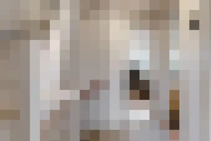 Constantijn Huygenslaan 3 Uithoorn thumbnail 7