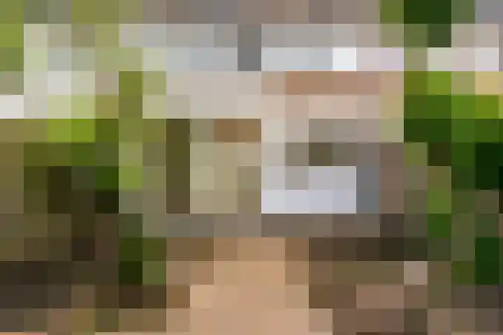 Constantijn Huygenslaan 31 Uithoorn thumbnail 19