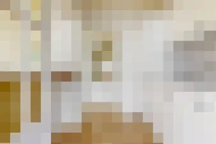 Constantijn Huygenslaan 31 Uithoorn thumbnail 7